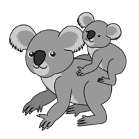 Parent and child koala