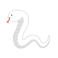 Cute white snake