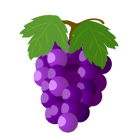 Grape with leaves