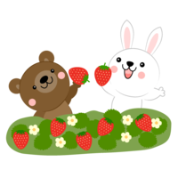 Strawberry picking of animals