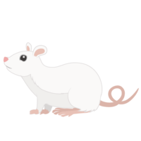 White mouse (horizontal)