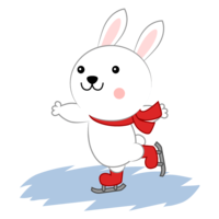 Cute rabbit skating