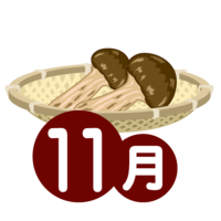 Matsutake mushrooms in November