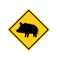 Wild boar caution sign