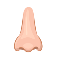 Female nose