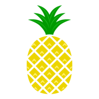 Pineapple with color silhouette