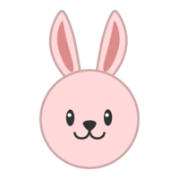 兔子脸