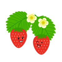 看起来很开心的草莓