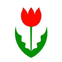 Simple tulip flower