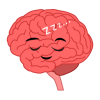 Sleeping brain