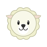 Cute sheep face