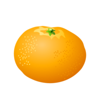 Mikan