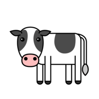 Simple hornless cow