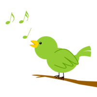 Singing bird