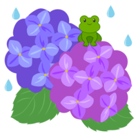 Hydrangea and frog on a rainy day