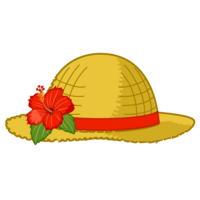 Hibiscus straw hat