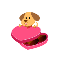 Dog Valentine chocolate