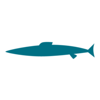 Blue saury silhouette