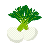 Turnip (check pattern)