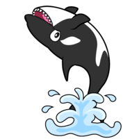 Somersault killer whale