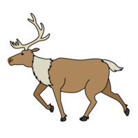 Running reindeer