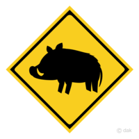 Wild boar danger
