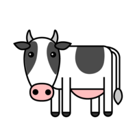 Cute cow