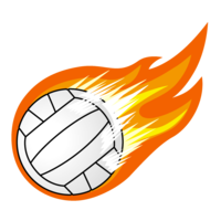 Fireball volleyball