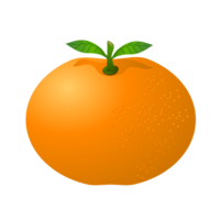 Mandarin orange with leaves
