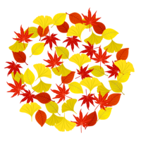 Autumn leaves circle