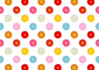 カラフルなガーベラ花柄の壁紙