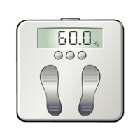 Weight scale