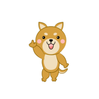 Shiba Inu showing points