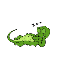 Crocodile sleeping