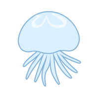 シンプルなクラゲ