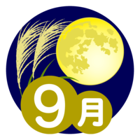 月夜のススキの9月