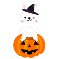 Rabbit and Halloween pumpkin