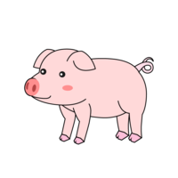 Pig seen from the side
