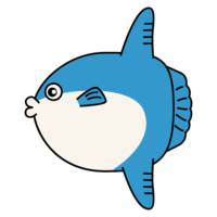 Sunfish