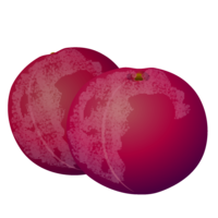 Plum