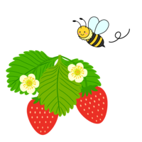 Bees and strawberries