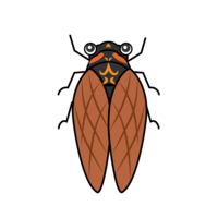 Character of Lyristes japonicus