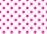 粉红色扶桑墙纸