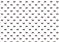 黑猫图案的墙纸