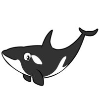 Killer whale character