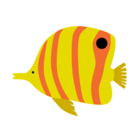 Cute tropical fish
