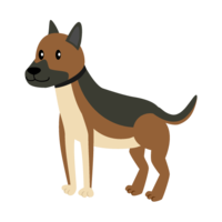 Police dog shepherd