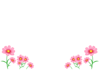 Cosmos flower frame