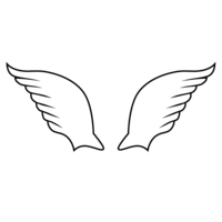 空を舞う羽根