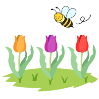 Honeybee and tulip